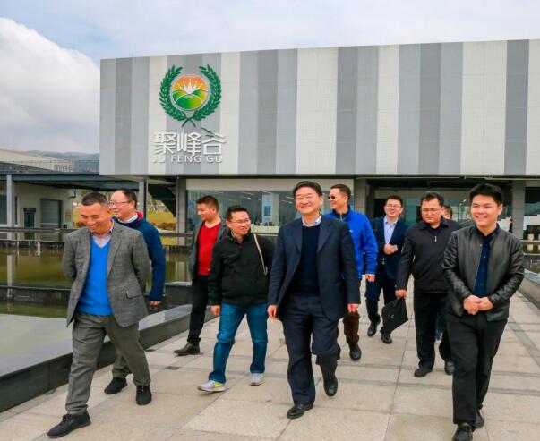 集團黨委書記、董事長任丁率隊調研聚峰谷