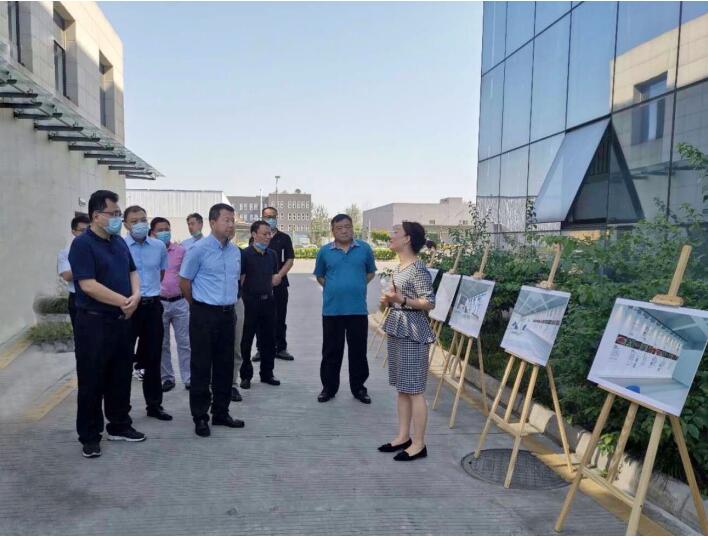 集團領導赴尊龍凱時商貿督導督察工作