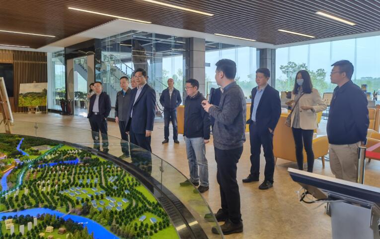 廣西旅發(fā)集團(tuán)黨委書記、董事長容賢標(biāo)考察集團(tuán)文旅項目