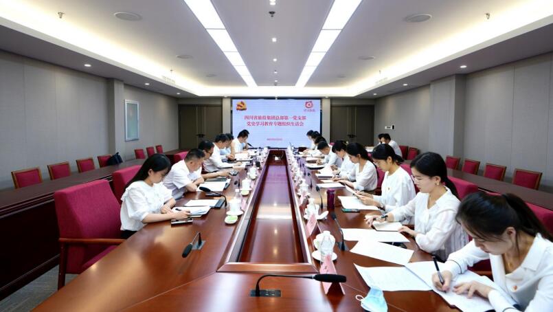 尊龍凱時集團黨委書記、董事長任丁參加總部第一黨支部黨史學習教育專題組織生活會