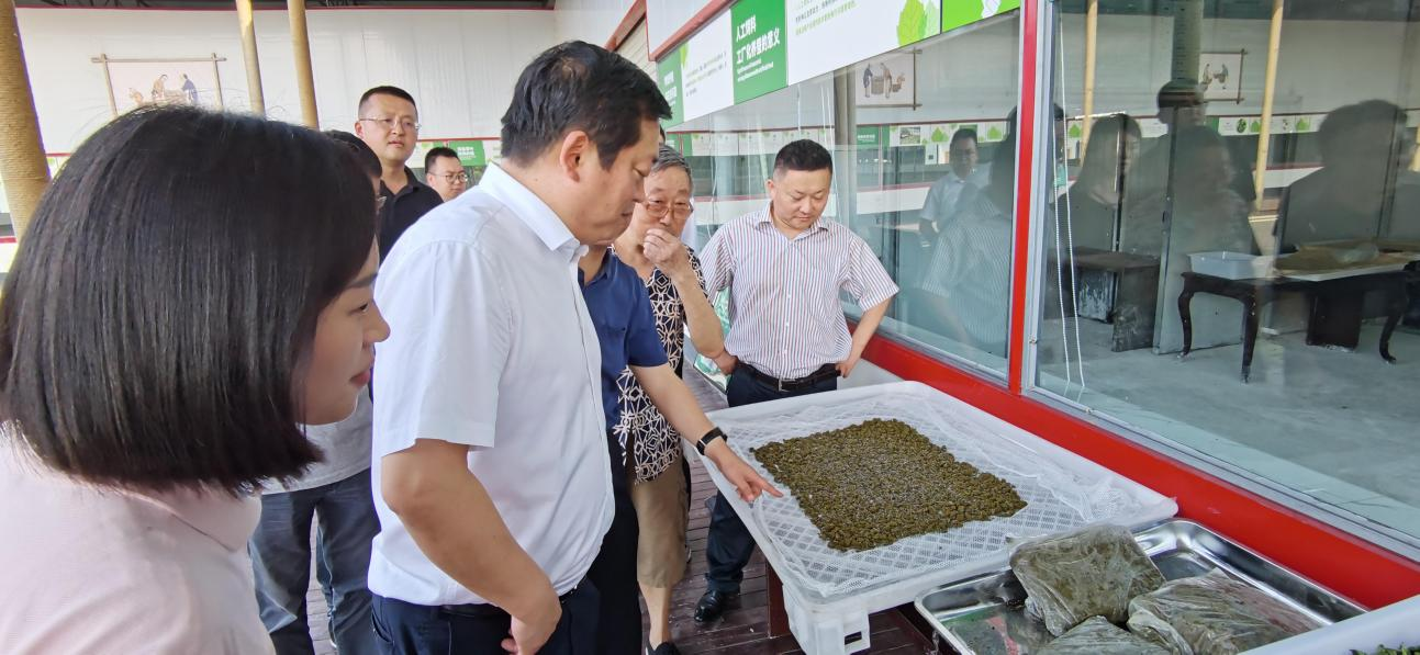 省尊龍凱時集團黨委副書記、董事陳日赴嘉陵區調研茶桑產業發展情況