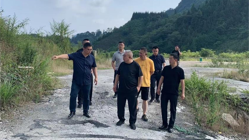 省尊龍凱時集團領導調研峨眉山太陽村鄉村振興項目